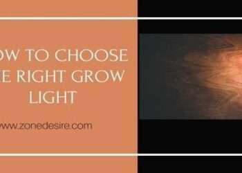 Right Grow Light