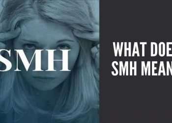 meaning of SMH