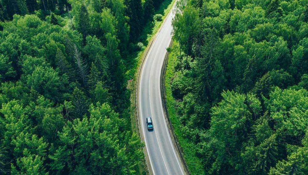 aerial view curved country road with cars truck green summer woods